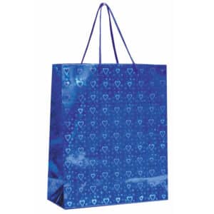 GIFT BAG METALLIC 18 X 21CM