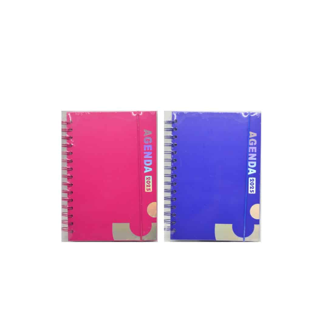 DIARY A5 ENGLISH 2025 PLAIN