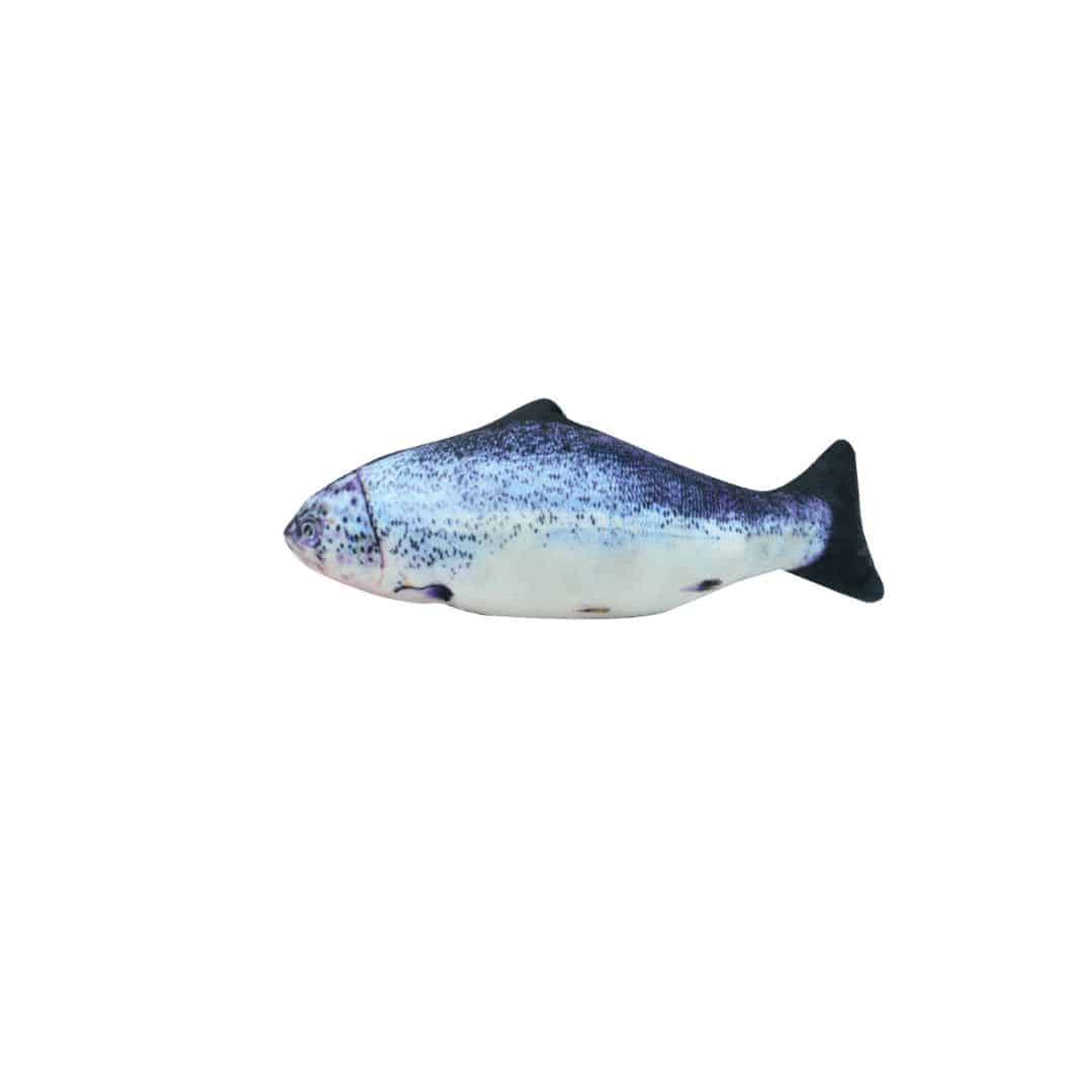 PET TOYS FISH ASSTD 28 X 28 X 12CM