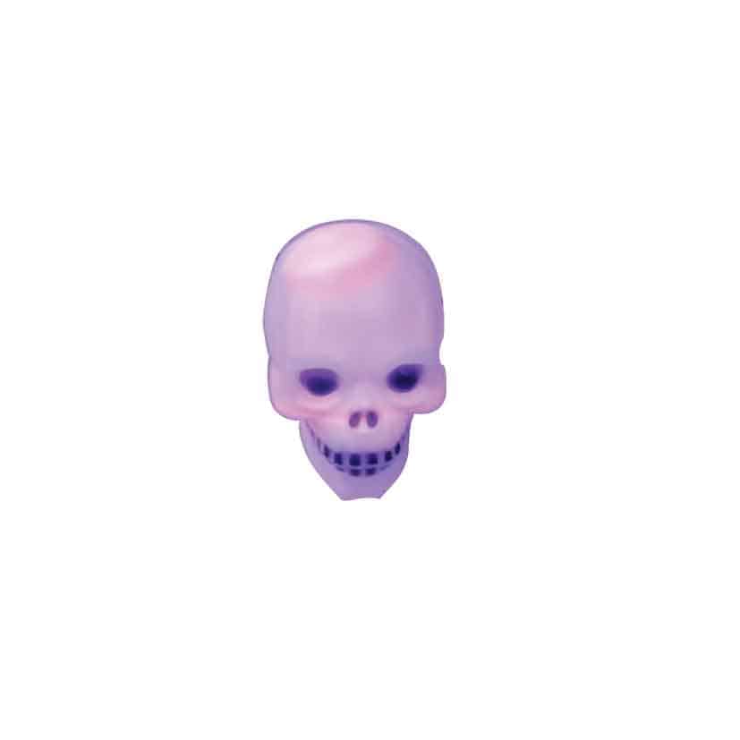 GLOW IN THE DARK SKULL