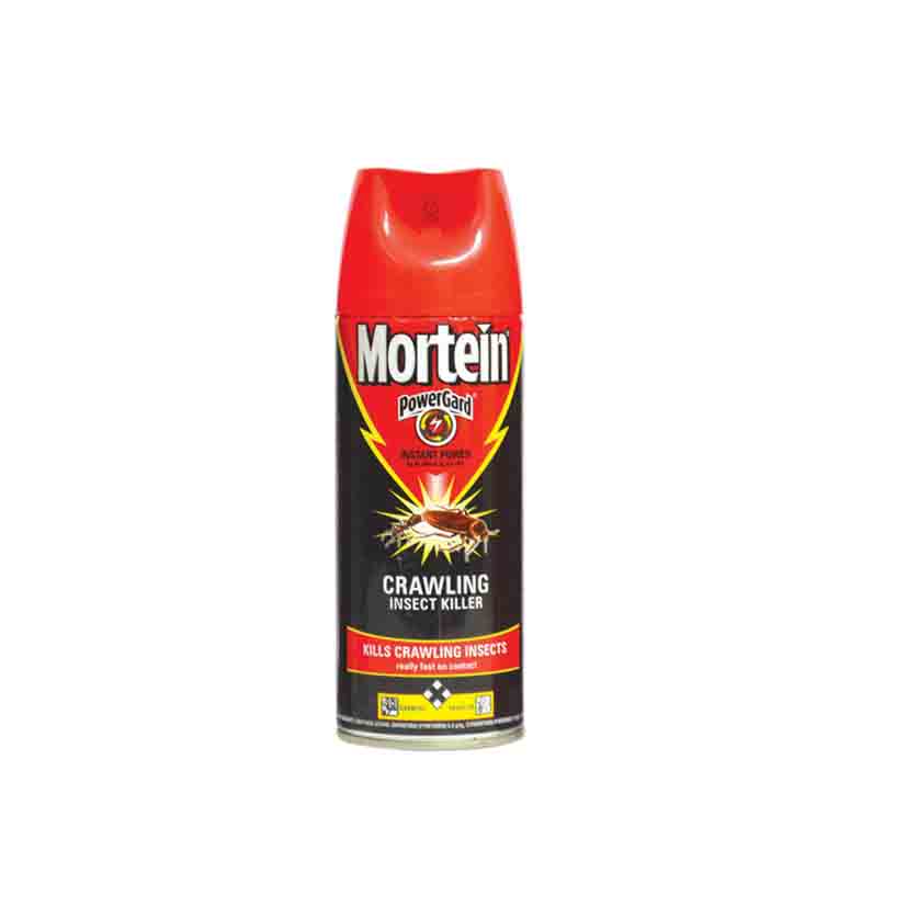 MORTEIN INSTANT POWER 300ML