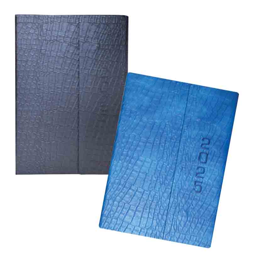 DIARY A5 2025 4 PRINT 152PAGES