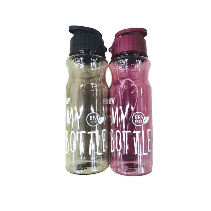 WATER BOTTLE PET 550ML