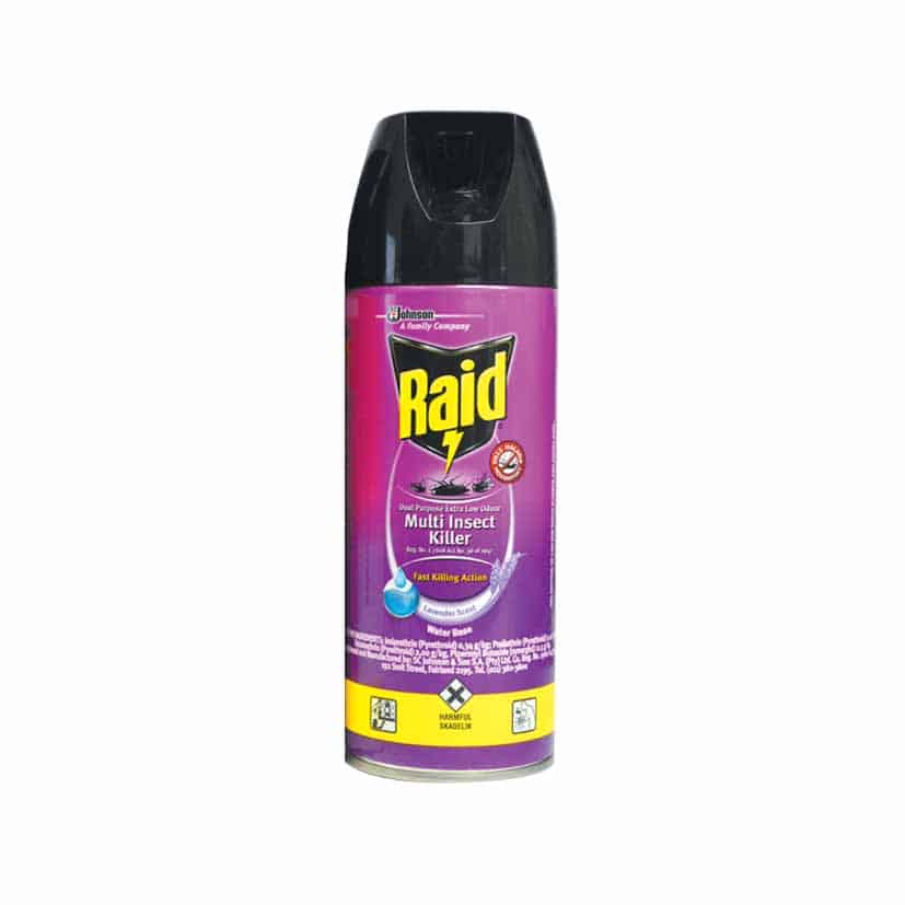 RAID DUAL PURPOSE INSECTICIDE 300ML